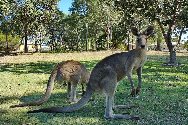 2009-11-06 22-04-10_1.jpg - da hinten ist der Papa, wie man unschwer erkennen kann...